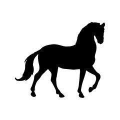 Obraz na płótnie Canvas Horse Icon, Vector, Silhouette