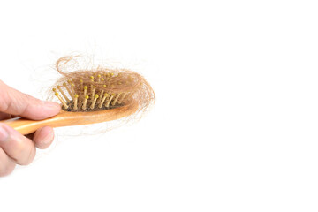 Hair loss and comb, hair loss every day, serious problems and hair loss on a white background. 