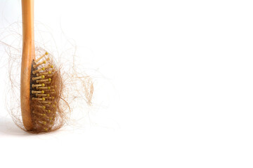 Hair loss and comb, hair loss every day, serious problems and hair loss on a white background. 