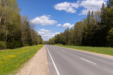 paved road in the countryside in the spring forest