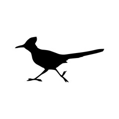 beautiful bird silhouette