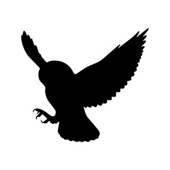 Owl Black Silhouette Isolated White Background