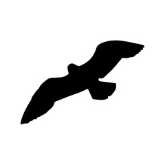 beautiful bird silhouette