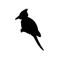 beautiful bird silhouette