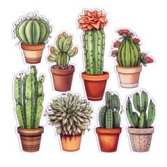 Foto auf Alu-Dibond Kaktus im Topf cactus in pots AI generative