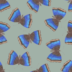 Obraz premium Hand-Drawn Seamless Pattern of Gray and Yellow Colored Butterflies of Various Sizes on Grey Backdrop.