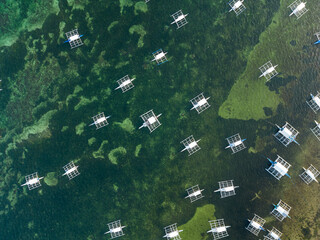  아름다운 해변과 호핑보트(필리핀 전통배, 방카)들이 있는 필리핀 보홀 팡라오섬의 알로나 비치 풍경