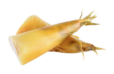 Bamboo shoots on transparent png