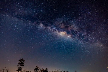 Blue night panorama, milky way sky and stars on a dark background,starry universe, nebula and galaxies with noise and color pigment, long exposure and selective white balance, selective focus. amazing