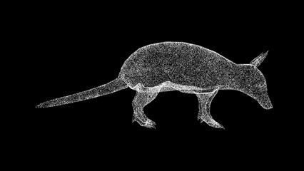 3D Armadillo on black background. Object made of shimmering particles. Wild animals concept. Protection of the environment. For title, text, presentation. 3d animation.