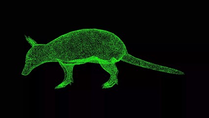 3D Armadillo on black background. Object made of shimmering particles. Wild animals concept. Protection of the environment. For title, text, presentation. 3d animation.