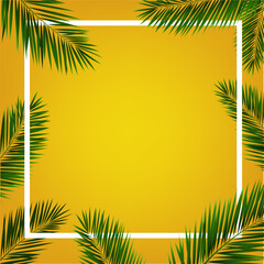 palm leaves background