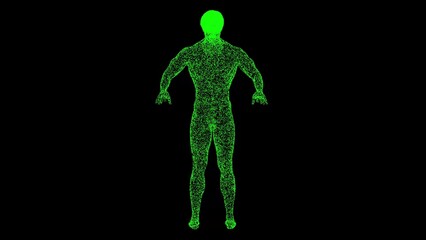 3D naked male body on black background. Human anatomy concept. Muscles anatomy system. For title, text, presentation. Object made of shimmering particles. 3d animation.