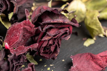 An old dry rose with crumbs from dry petals