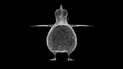 3D funny chicken hen on black bg. Comic humorous concept. Advertising of chicken products. Nature and animals concept. For title, text, presentation. Shimmering particles. 3d animation.