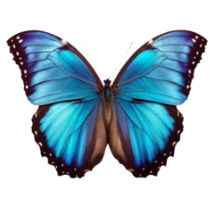 Tuinposter beautiful blue butterfly on a transparent background. generative AI © I LOVE PNG