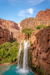 havasu waterfall in the canyon