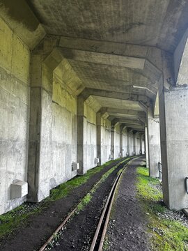 Rail in the mountain of the famous Mianyue Line trail Alishan National Park of Chiayi, Taiwan 
