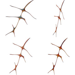 Contemporary Iridescent Tribal Futuristic Render 3D Shape Metallic Digital Art