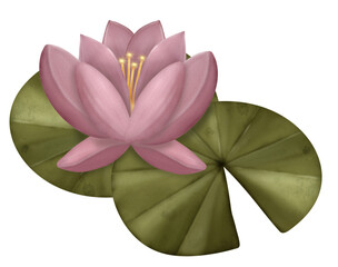 Lotus flower chuseok collection Watercolor drawing illustration hand drawn clip art