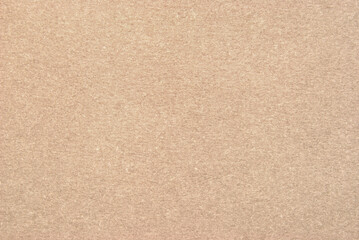 Fototapeta na wymiar A sheet of beige recycled cardboard texture as background 