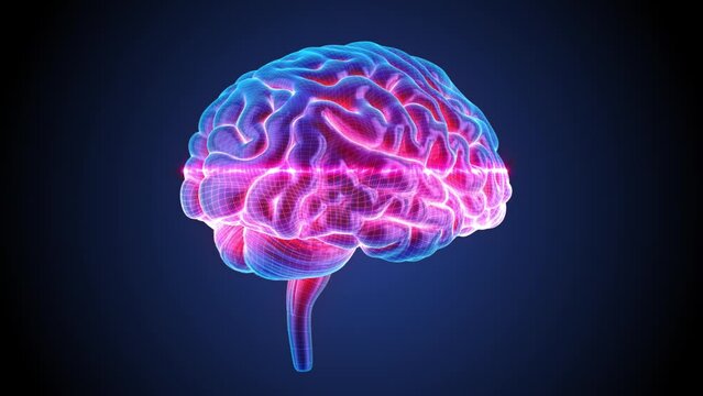 Blue Brain spinning in a 3D animation