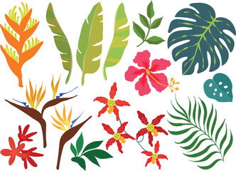Set of tropical leaves, flowers and plants - 618873581