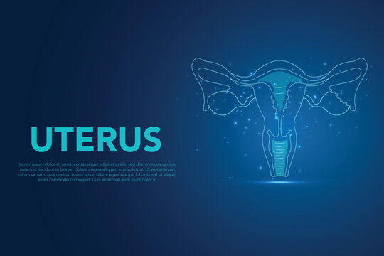 Human Organ Uterus and Ovaries Female Reproductive System, Human anatomy Female reproductive system. Organs location scheme uterus. Medical Science and technology background