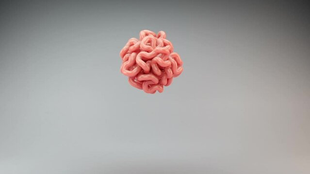 Brains Growth in a 3D animation
