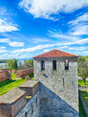 Massive walls and towers on the Danube River, Baba Vida Fortress