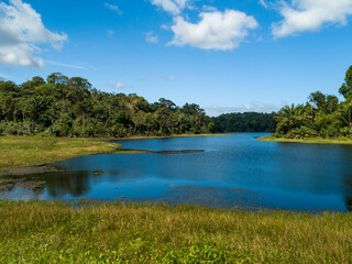 Lake in the tropical rainforest, Soberania National Park, Panama Canal, Panama - stock photo