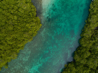 Aerial photograph of mangroves and sandbars in the Caribbean sea, Portobelo, Panama - stock photo