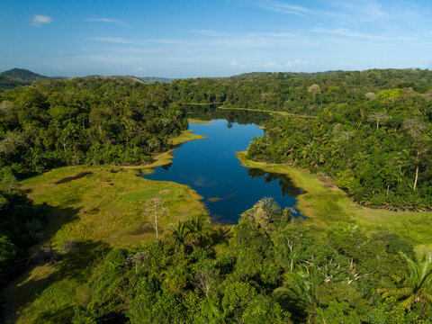 Aerial shot of tropical rainforest, Soberania National Park, Panama Canal, Panama - stock photo