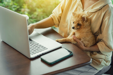 top view, Young asian woman work at a coffee shop with her dog