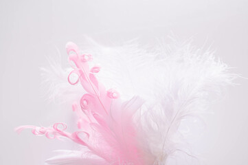 Obraz premium ふわふわな猫じゃらし