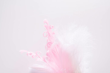 ふわふわな猫じゃらし