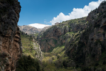 Fototapeta na wymiar Montañas de Líbano
