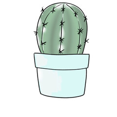 Cactus
