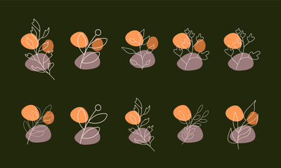 Set of leaf elements illustration. Leaves elements illustration. Collections of leaf element isolated on green background.