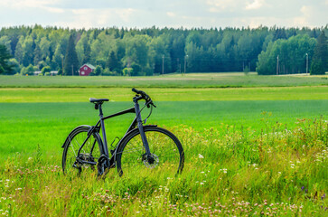 bicycle on the meadow, sporting in beautiful nature with a bike, healthy sport for green values