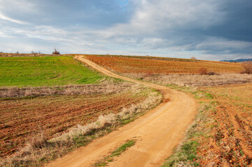 Fototapeta na wymiar Rural landscape, dirt road, sunset