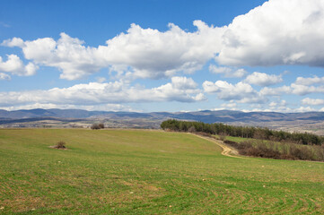 Fototapeta na wymiar Green field in Southern Bulgaria, early spring