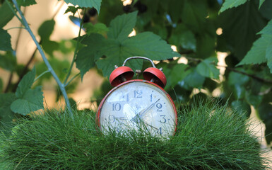 vintage alarm clock on the grass