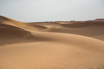 Fototapeta na wymiar long way in the Sahara