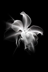 abstract orchid petals, black and white illustration. Generative AI