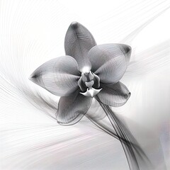 abstract orchid petals, black and white illustration. Generative AI