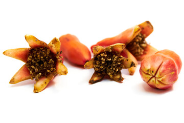 flowers of pomegranate on a white background