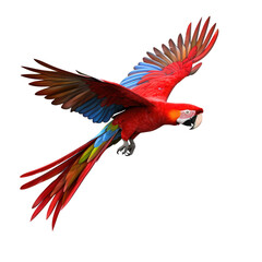 Red macaw isolated. Illustration AI Generative.