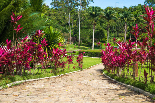 Passeio no bosque