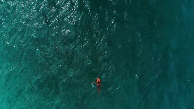 Top aerial view: surfing concept, summer travel. Blue ocean and one man paddle on the surf. Powerful ocean and one man alone do workout with surf barreled at big waves. Colorful background